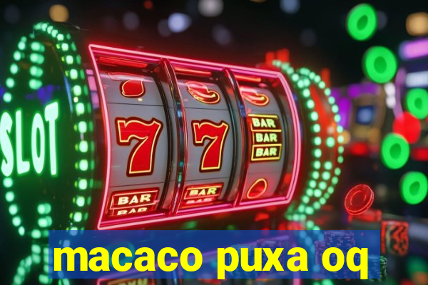 macaco puxa oq